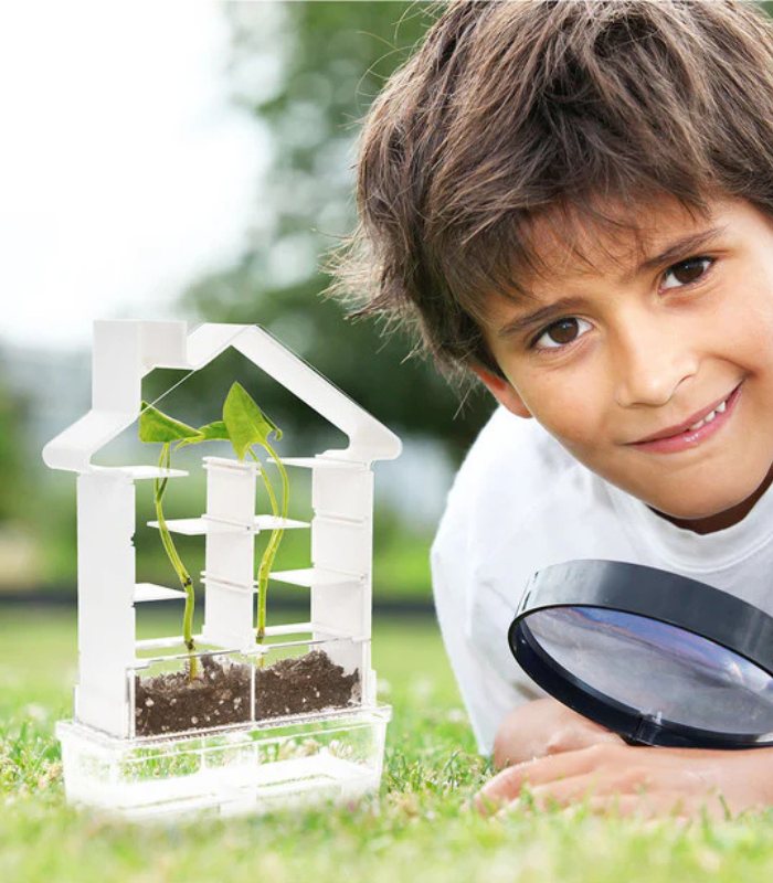 PlaySteam Plant Maze Botany Kit Set
