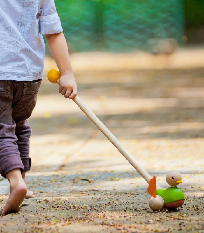 PlanToys Push Along Duck