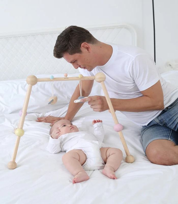 PlanToys Wooden Play Gym
