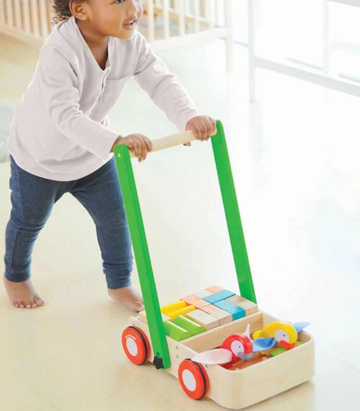 PlanToys Bird Walker
