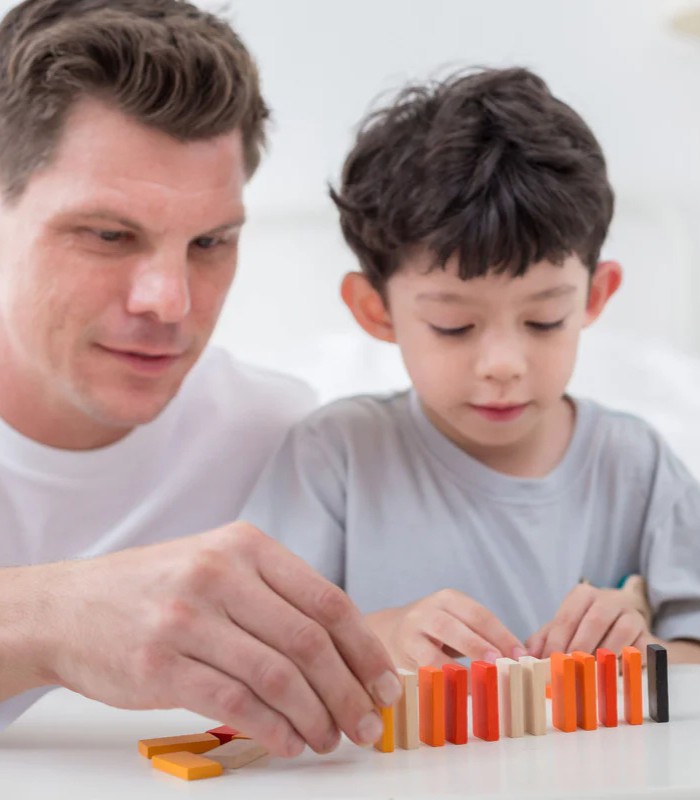 PlanToys Domino Race