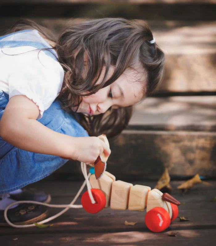 PlanToys Wooden Happy Puppy