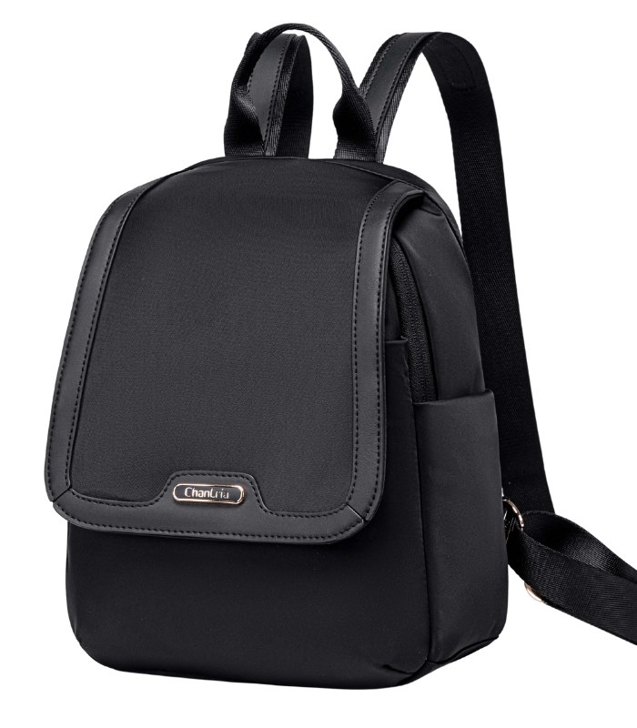 Chantria Women’s Anti-Theft Backpack, Water-Resistant Daypack with Laptop Compartment for Travel and Work, Model CB00621