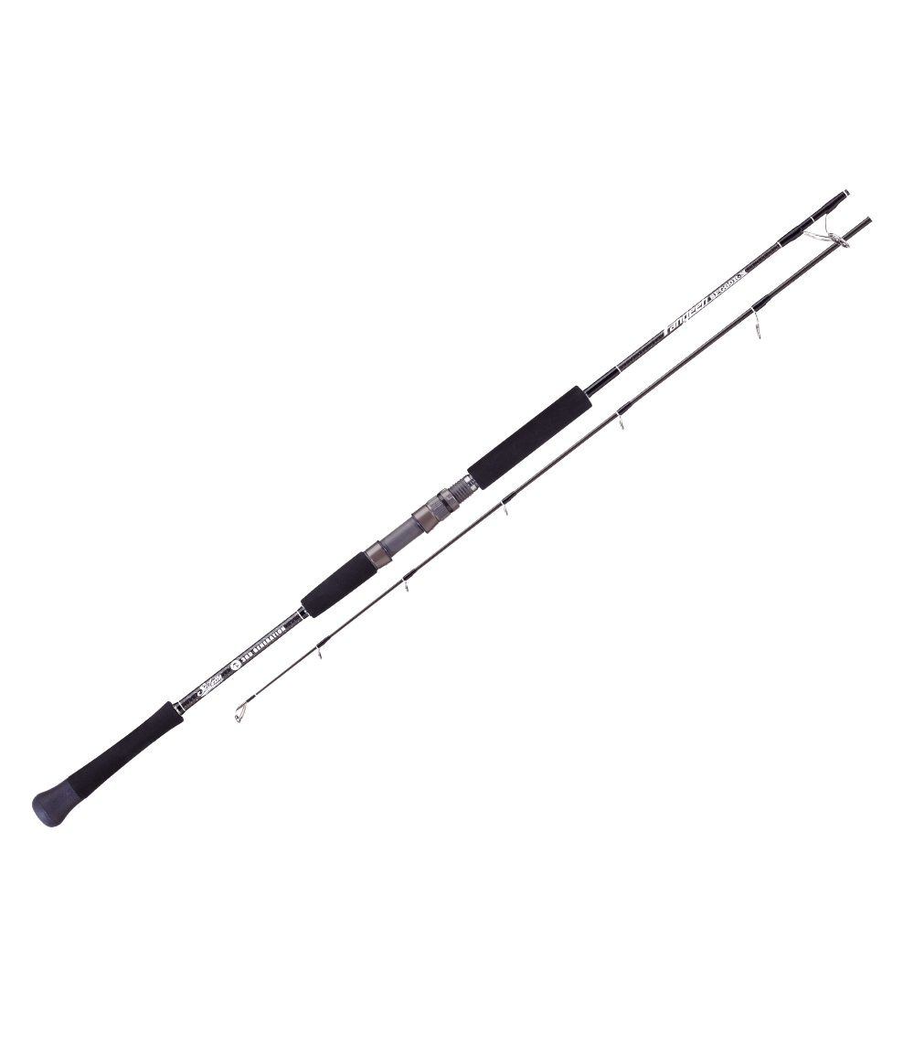 Hots Stiletto Fangeen 3rd Generation Jigging Rod