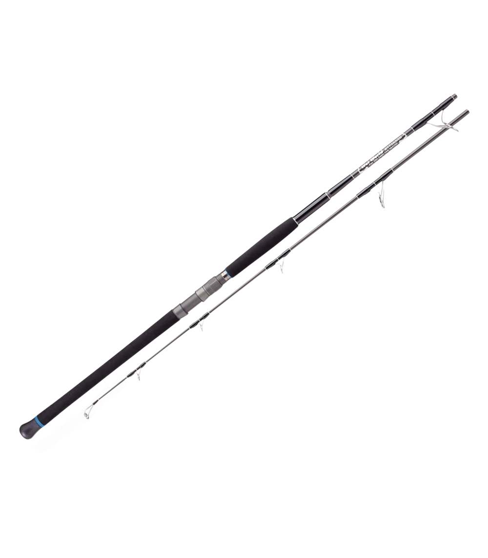 Hots Wei World 2G73XXXH – Cape Cod Special Big Game Rod