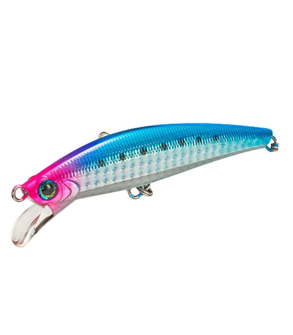 Jackson Pintail Sagoshi Tune Jig