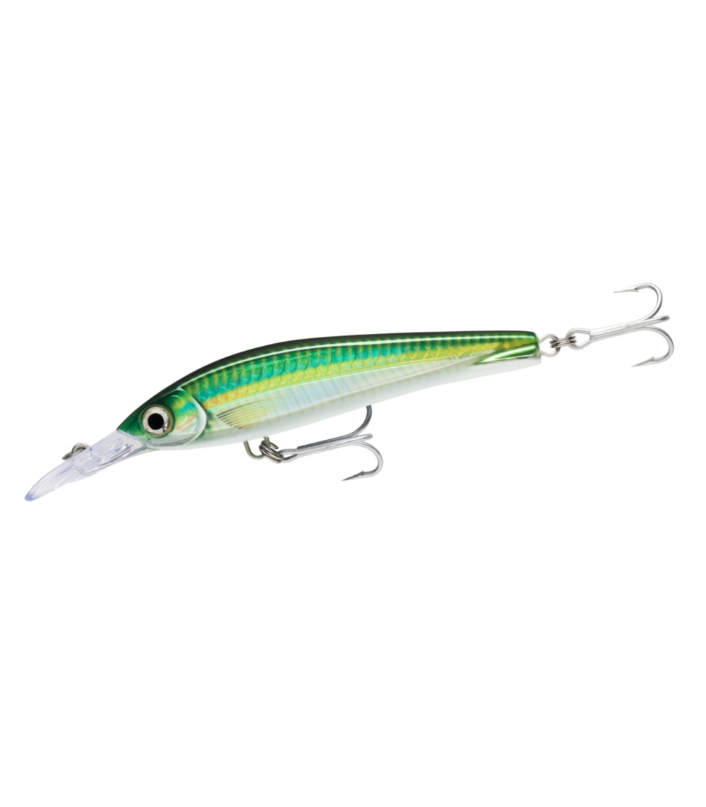 Rapala X-Rap Magnum Xtreme 160 Saltwater Trolling Fishing Lure