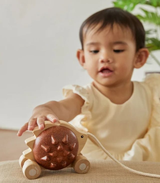 PlanToys Pull – Along Hedgehog – Brown