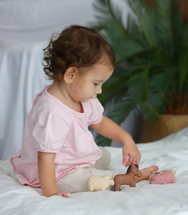 PlanToys Farm Animals Set
