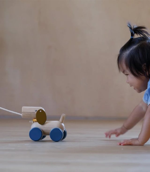 PlanToys Push & Pull Puppy