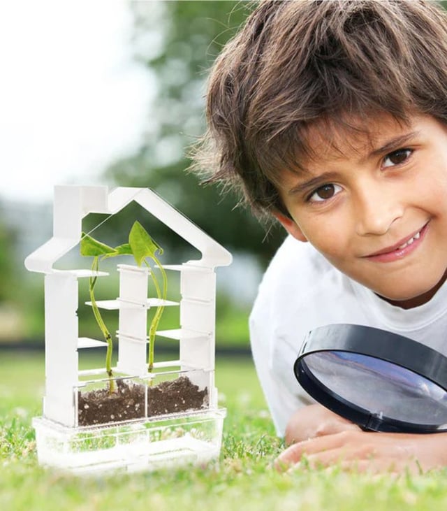PlaySteam Plant Maze Botany Kit Set