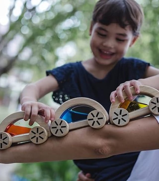 PlanToys Wautomobile (6 Pieces in 1 Box)