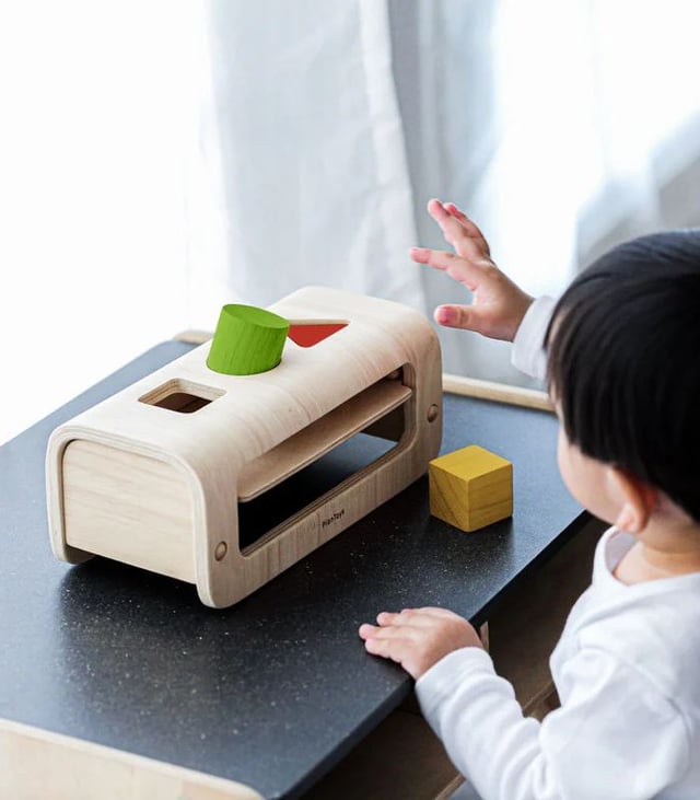 PlanToys Shape and Sort