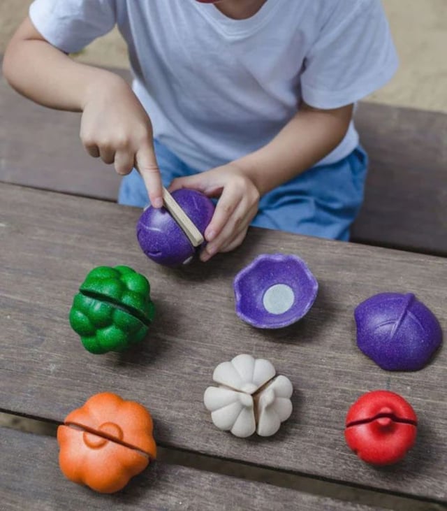 PlanToys Wooden 5 Colors Veggie Set