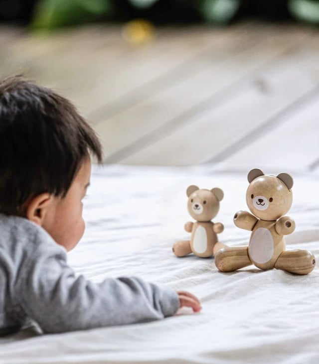 PlanToys Bear & Little Bear