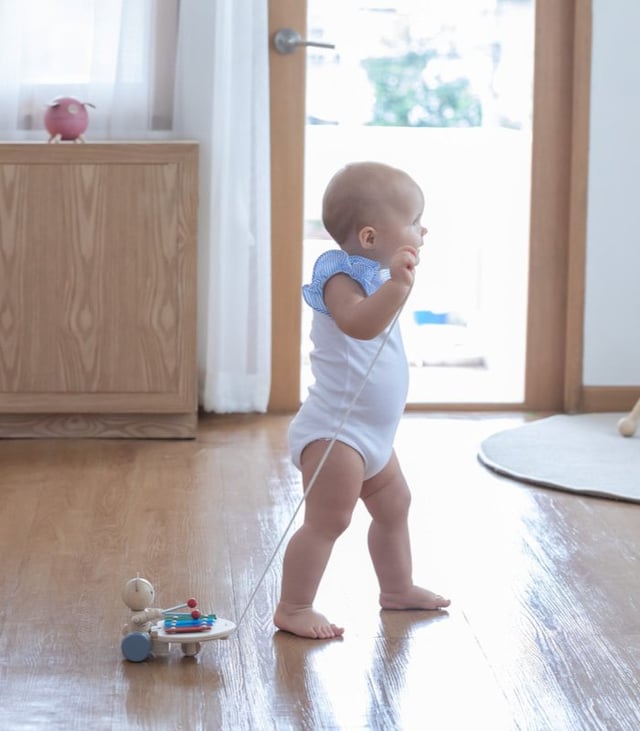 PlanToys Pull-Along Musical Bear
