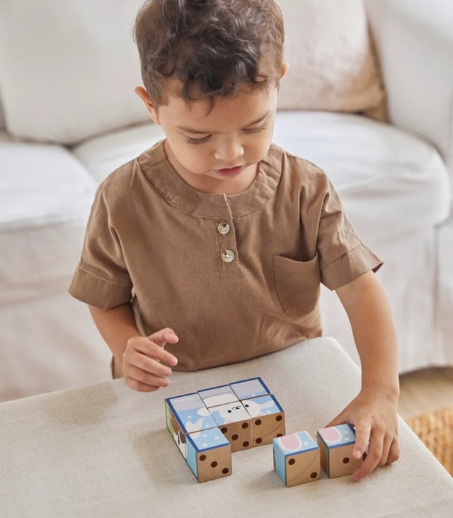 PlanToys Animal Puzzle Cubes