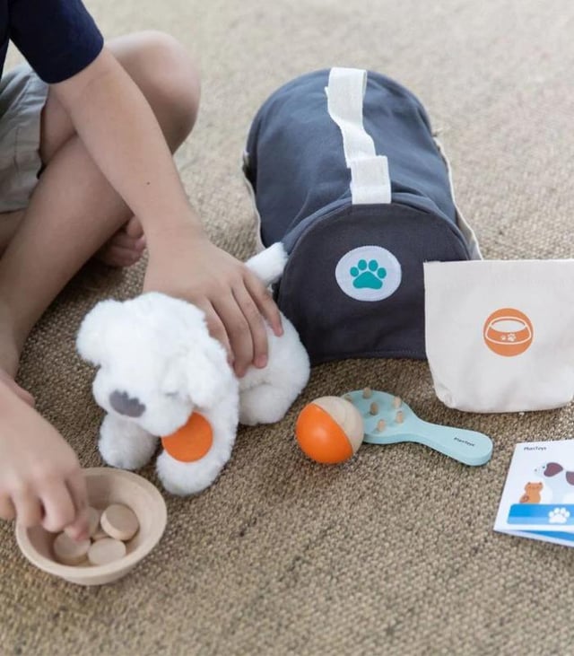 PlanToys Wooden Pet Care Set