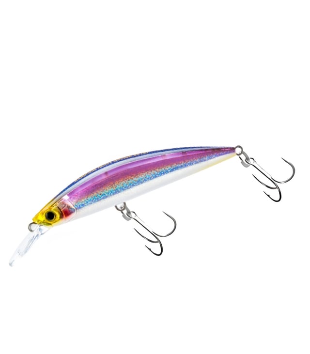 Duel Hardcore Heavy Minnow 90mm Sinking Lure F1189